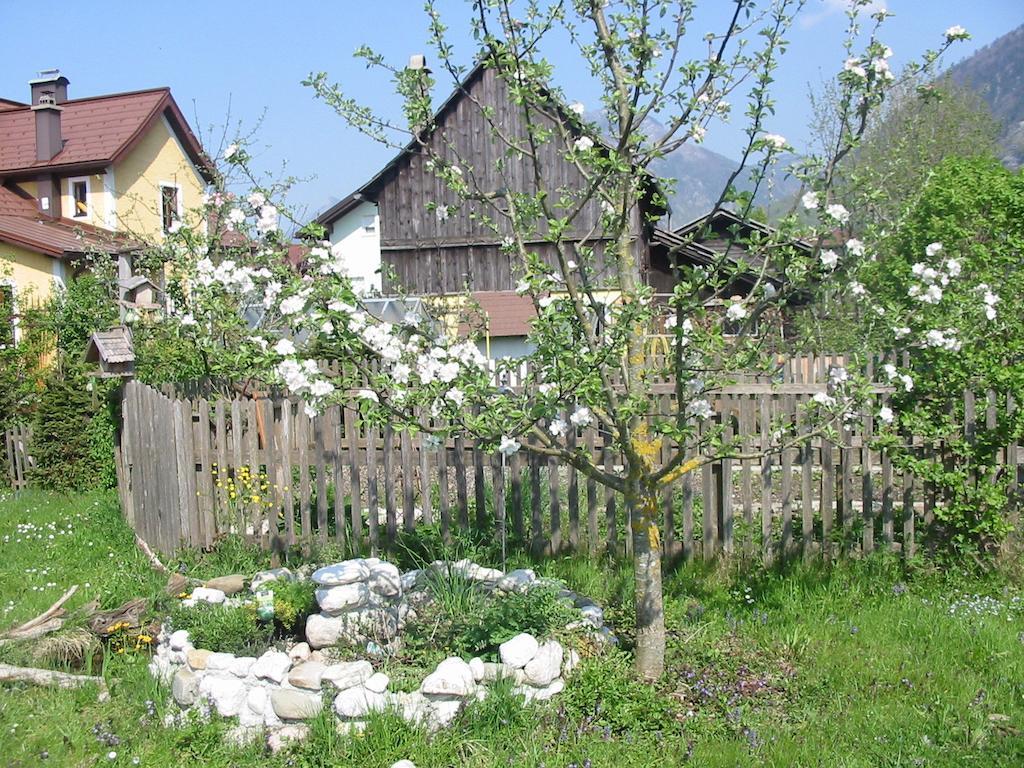 Ferienwohnung Am Pflanzgarten Ebensee Buitenkant foto